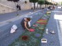 infiorata (03)